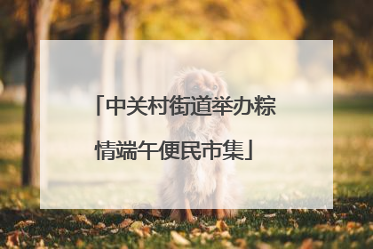 中关村街道举办粽情端午便民市集