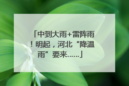 中到大雨+雷阵雨！明起，河北“降温雨”要来……