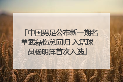 中国男足公布新一期名单武磊伤愈回归 入籍球员杨明洋首次入选