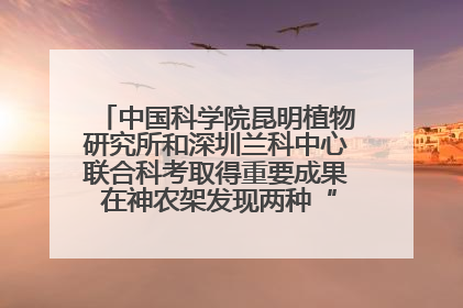 中国科学院昆明植物研究所和深圳兰科中心联合科考取得重要成果 在神农架发现两种“国保”级兰花
