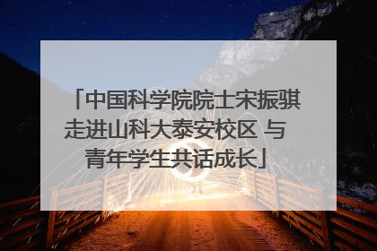 中国科学院院士宋振骐走进山科大泰安校区 与青年学生共话成长