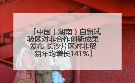 中国（湖南）自贸试验区对非合作创新成果发布 长沙片区对非贸易年均增长141%