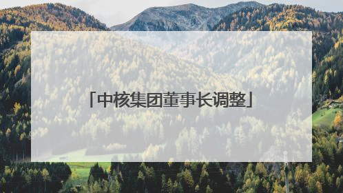 中核集团董事长调整