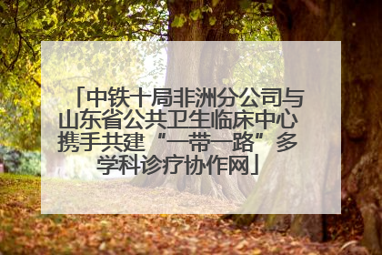 中铁十局非洲分公司与山东省公共卫生临床中心携手共建“一带一路”多学科诊疗协作网
