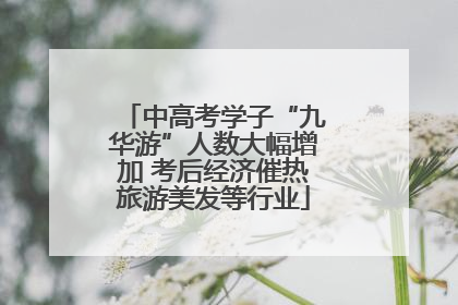 中高考学子“九华游”人数大幅增加 考后经济催热旅游美发等行业