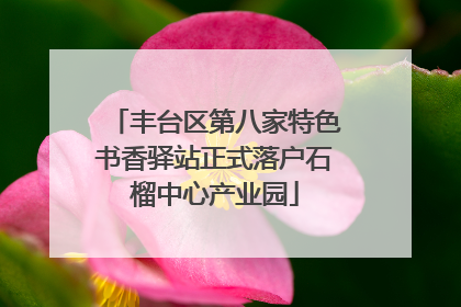 丰台区第八家特色书香驿站正式落户石榴中心产业园
