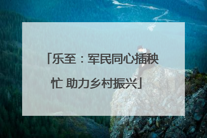 乐至：军民同心插秧忙 助力乡村振兴