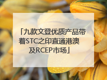 九款文登优质产品带着STC之印直通港澳及RCEP市场