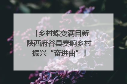 乡村蝶变满目新 陕西府谷县奏响乡村振兴“奋进曲”