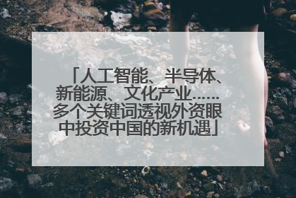 人工智能、半导体、新能源、文化产业……多个关键词透视外资眼中投资中国的新机遇