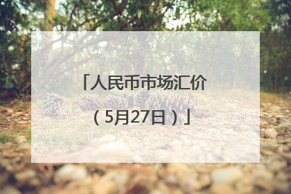 人民币市场汇价（5月27日）