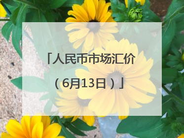 人民币市场汇价（6月13日）