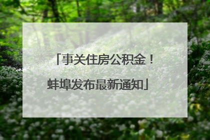 事关住房公积金！蚌埠发布最新通知