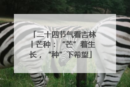 二十四节气看吉林丨芒种：“芒”着生长，“种”下希望