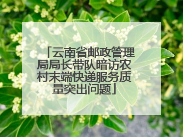 云南省邮政管理局局长带队暗访农村末端快递服务质量突出问题