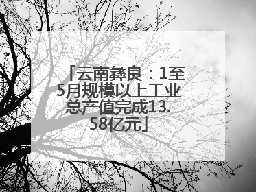 云南彝良：1至5月规模以上工业总产值完成13.58亿元