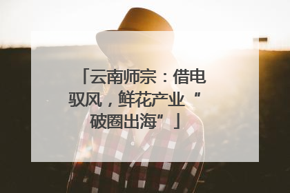 云南师宗：借电驭风，鲜花产业“破圈出海”