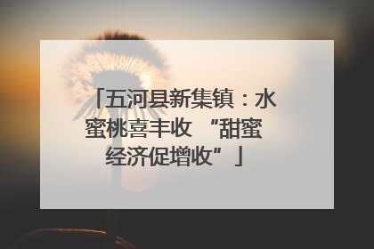 五河县新集镇：水蜜桃喜丰收 “甜蜜经济促增收”
