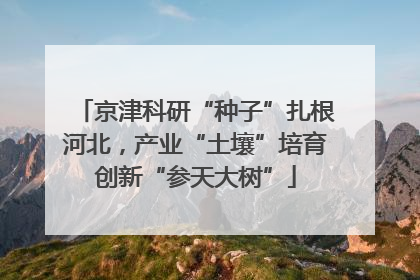京津科研“种子”扎根河北，产业“土壤”培育创新“参天大树”