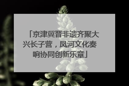 京津冀晋非遗齐聚大兴长子营，凤河文化奏响协同创新乐章