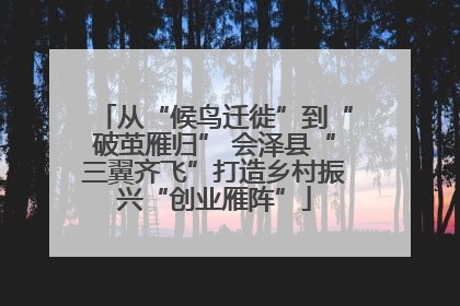 从“候鸟迁徙”到“破茧雁归” 会泽县“三翼齐飞”打造乡村振兴“创业雁阵”
