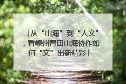 从“山海”到“人文”，看嵊州青田山海协作如何“文”出新精彩
