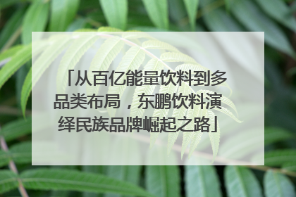 从百亿能量饮料到多品类布局，东鹏饮料演绎民族品牌崛起之路