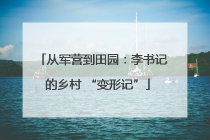 从军营到田园：李书记的乡村 “变形记”