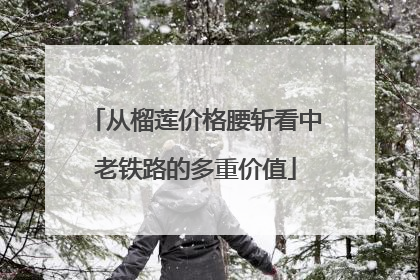 从榴莲价格腰斩看中老铁路的多重价值