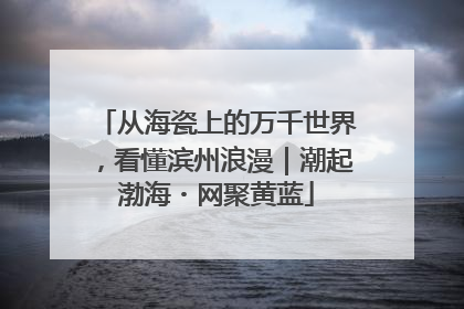 从海瓷上的万千世界，看懂滨州浪漫｜潮起渤海・网聚黄蓝