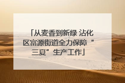 从麦香到新绿 沾化区富源街道全力保障“三夏”生产工作
