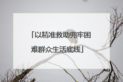以精准救助兜牢困难群众生活底线