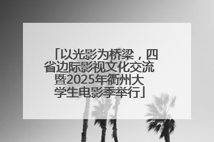 以光影为桥梁，四省边际影视文化交流暨2025年衢州大学生电影季举行