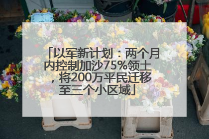 以军新计划：两个月内控制加沙75%领土，将200万平民迁移至三个小区域