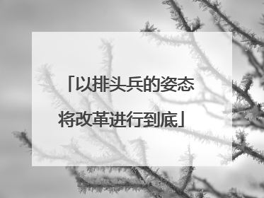 以排头兵的姿态将改革进行到底