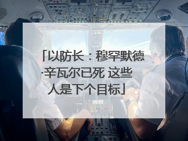 以防长：穆罕默德·辛瓦尔已死 这些人是下个目标