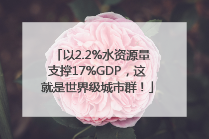 以2.2%水资源量支撑17%GDP，这就是世界级城市群！