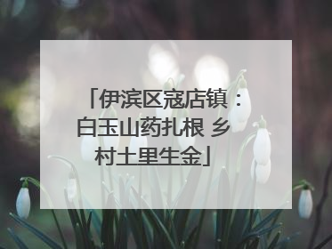 伊滨区寇店镇：白玉山药扎根 乡村土里生金