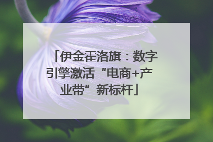 伊金霍洛旗：数字引擎激活“电商+产业带”新标杆