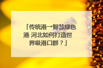 传统港→智慧绿色港 河北如何打造世界级港口群？