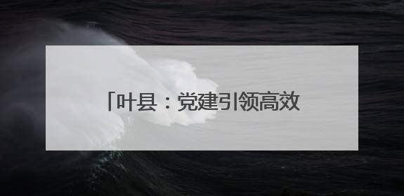 叶县：党建引领高效能 绘就乡村新图景