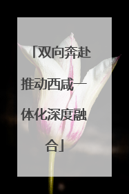 双向奔赴推动西咸一体化深度融合