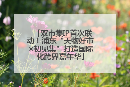 双市集IP首次联动！浦东“天物好市×初见集”打造国际化跨界嘉年华