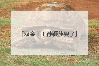 双金王！孙颖莎哭了