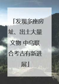 发现多座房址、出土大量文物 中乌联合考古有新进展