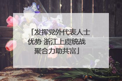 发挥党外代表人士优势 浙江上虞统战聚合力助共富