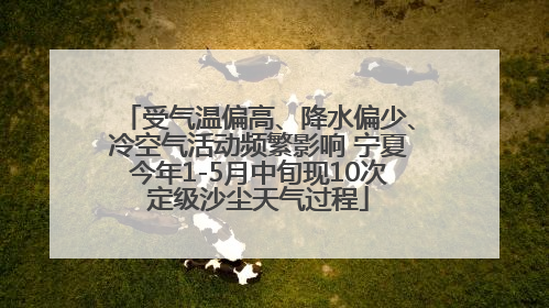 受气温偏高、降水偏少、冷空气活动频繁影响 宁夏今年1-5月中旬现10次定级沙尘天气过程