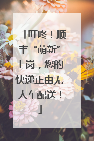 叮咚！顺丰“萌新”上岗，您的快递正由无人车配送！