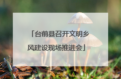 台前县召开文明乡风建设现场推进会