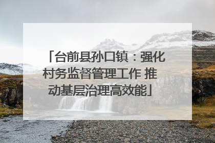台前县孙口镇：强化村务监督管理工作 推动基层治理高效能